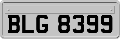 BLG8399
