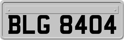 BLG8404