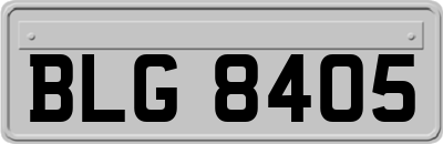 BLG8405
