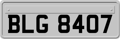 BLG8407