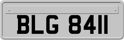 BLG8411