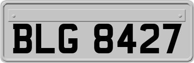 BLG8427