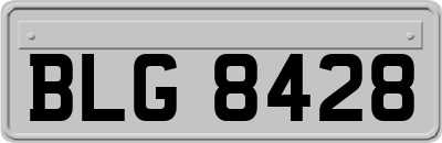BLG8428