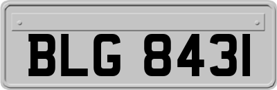 BLG8431
