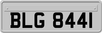 BLG8441