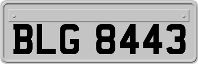 BLG8443