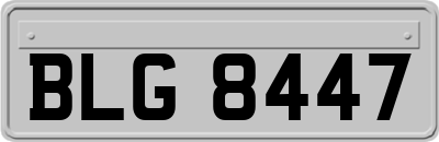 BLG8447
