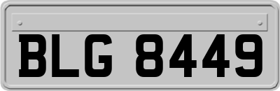 BLG8449
