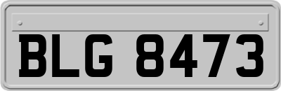 BLG8473