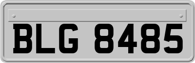BLG8485