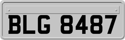 BLG8487