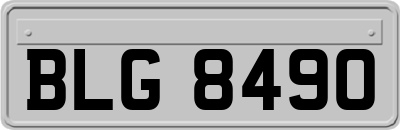 BLG8490