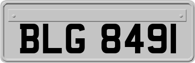 BLG8491