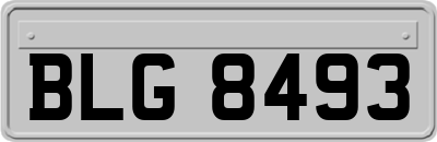 BLG8493