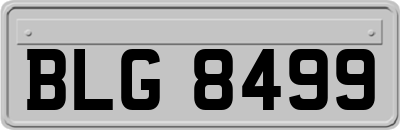 BLG8499