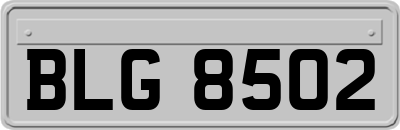 BLG8502
