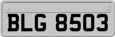 BLG8503