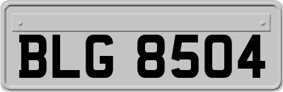 BLG8504