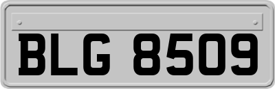 BLG8509