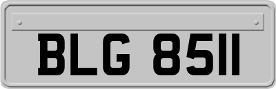 BLG8511