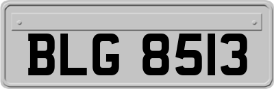 BLG8513