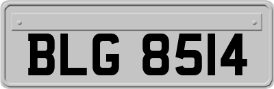 BLG8514