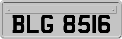 BLG8516