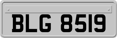 BLG8519