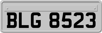 BLG8523