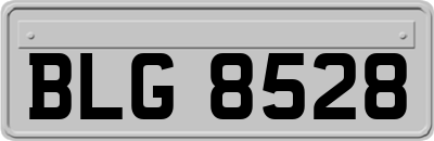 BLG8528