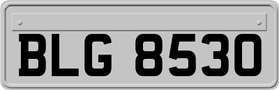 BLG8530
