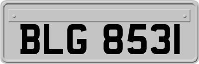 BLG8531
