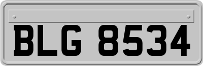BLG8534