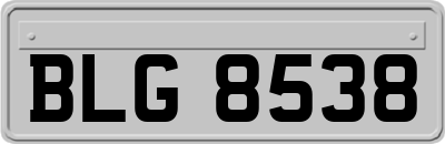 BLG8538