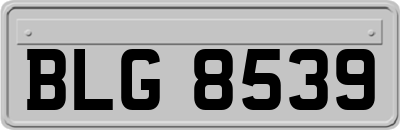 BLG8539