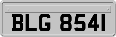 BLG8541
