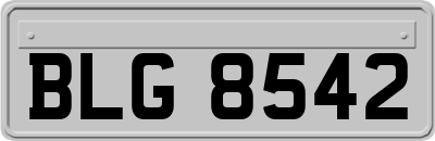 BLG8542