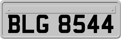 BLG8544