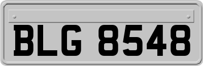 BLG8548