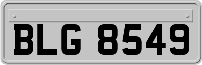 BLG8549