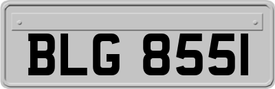 BLG8551