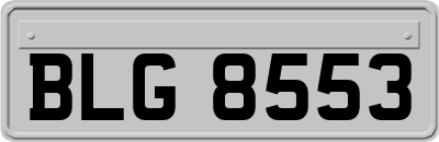BLG8553