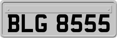 BLG8555