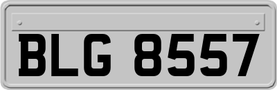 BLG8557