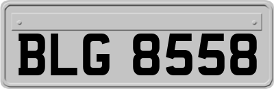 BLG8558