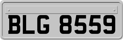 BLG8559