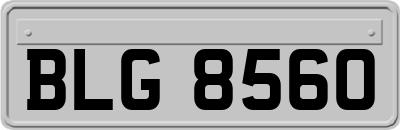 BLG8560