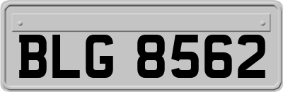 BLG8562