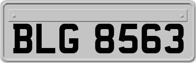 BLG8563