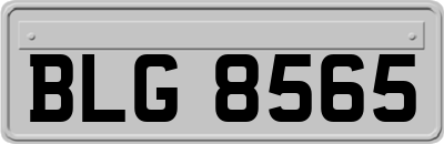 BLG8565